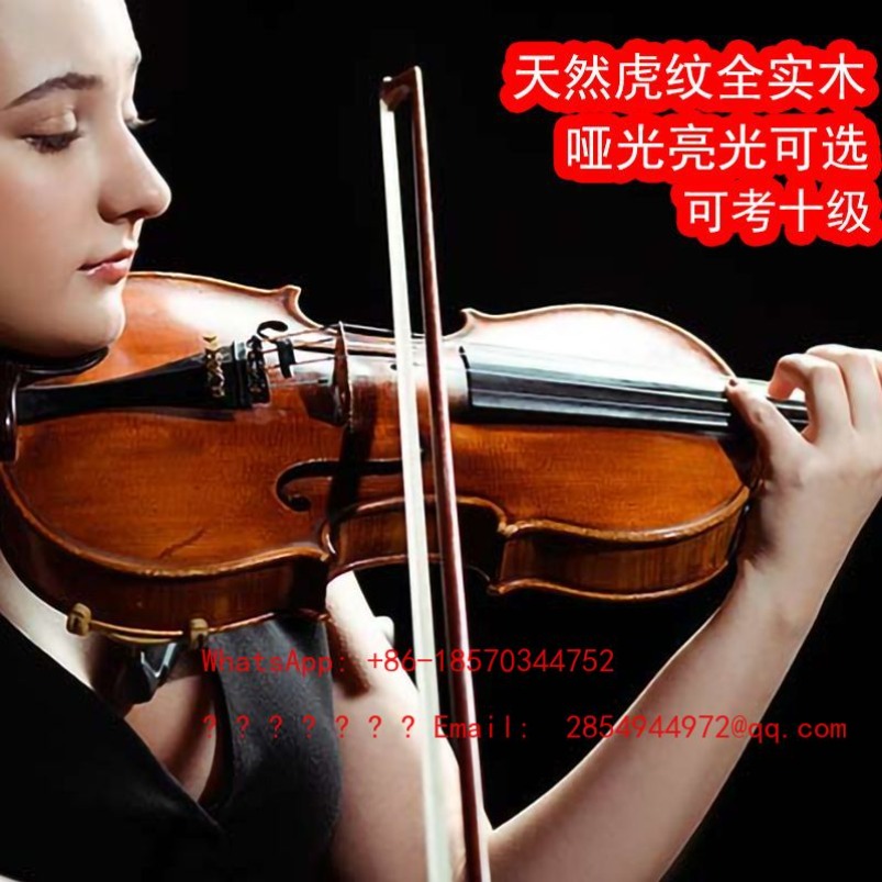 Musical Instrument Net - Violino Professionale di Grado Concerto, Strumento