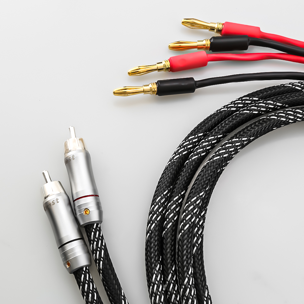 Cavo audio HiFi RCA a 2 connet - Musical Instrument Image recensione e prezzo