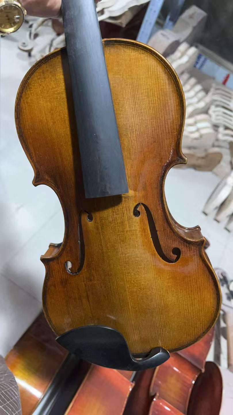Strumenti Musicali Violino 4/4 - Musical Instrument Online recensione e prezzo