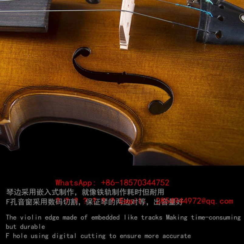 Violino Professionale di Grado - Musical Instrument Net recensione e prezzo
