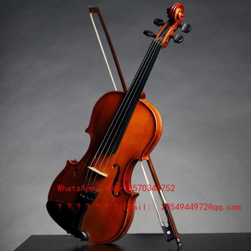 Violino Professionale di Grado - Musical Instrument Net recensione e prezzo