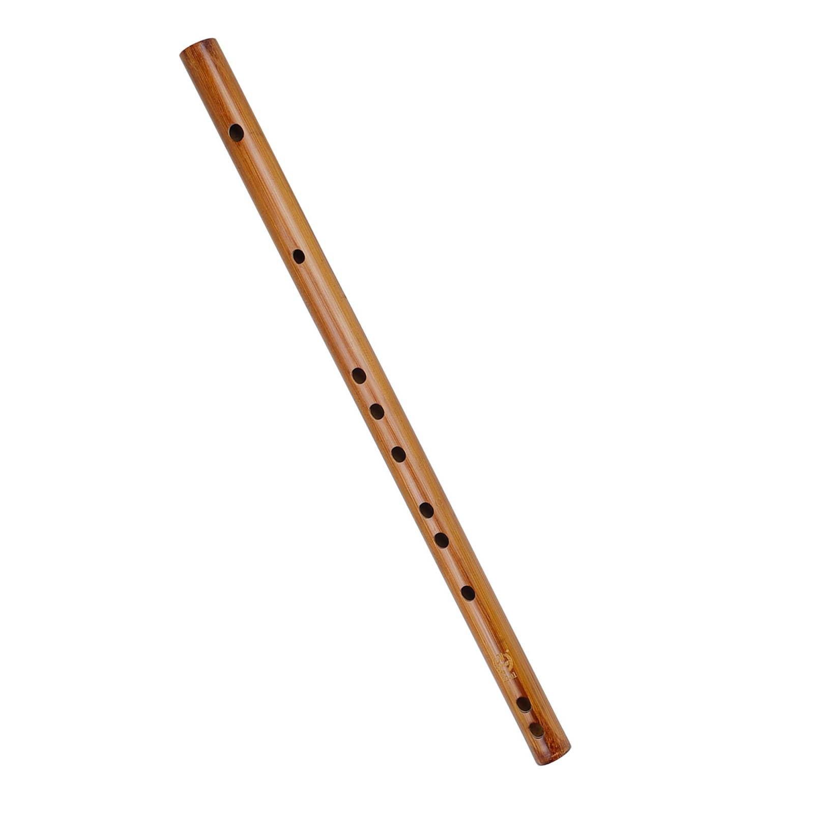 Regalo di compleanno unico, fl - Musical Instrument Indian recensione e prezzo