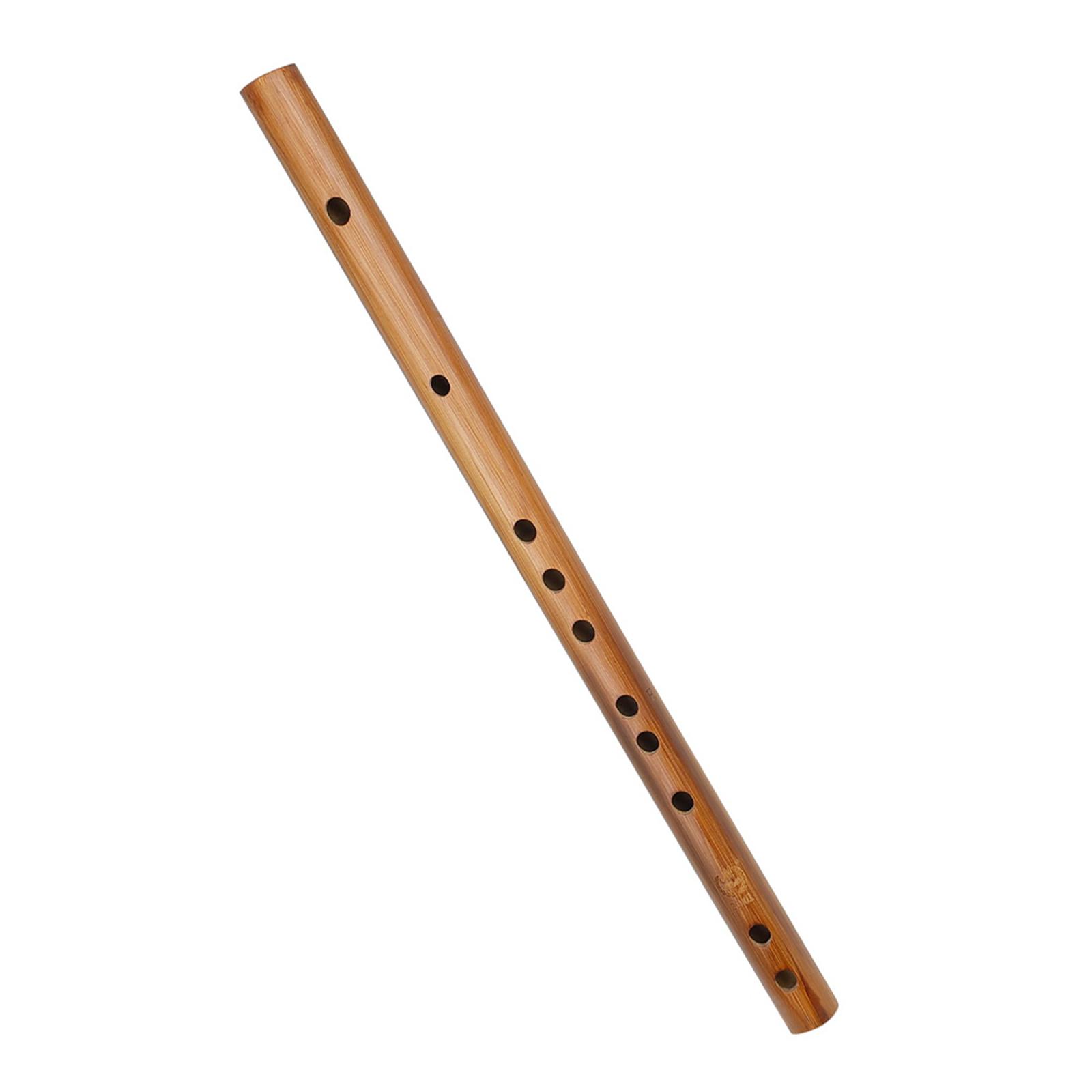 Regalo di compleanno unico, fl - Musical Instrument Indian recensione e prezzo
