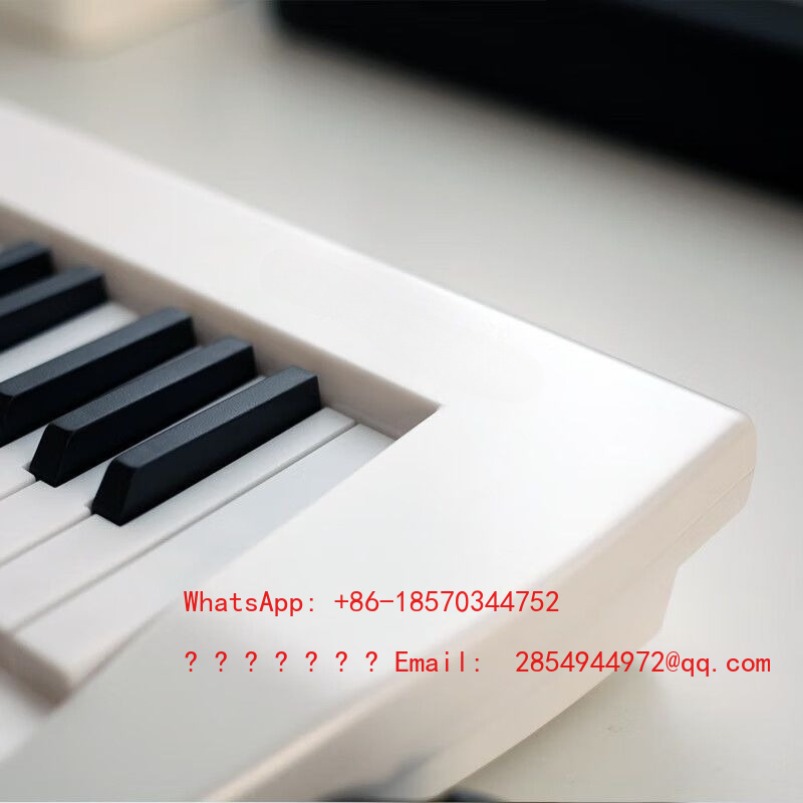 Organo Elettronico per Anziani - Musical Instrument Net recensione e prezzo