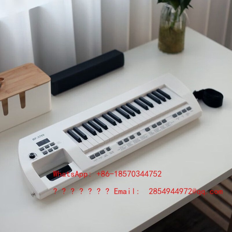 Organo Elettronico per Anziani - Musical Instrument Net recensione e prezzo